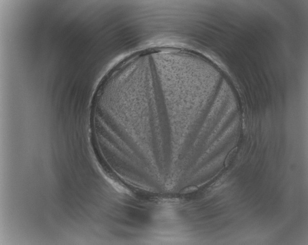 X0000067480438200604281924