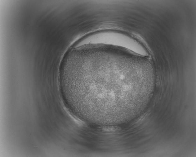 X0000067480439200604281924