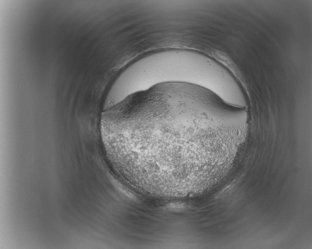 X0000067480441200604281924