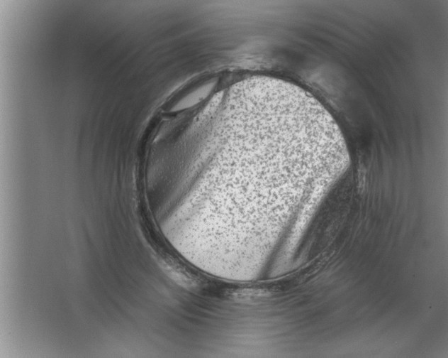 X0000067480444200604281924