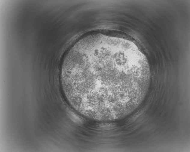 X0000067480445200604281924