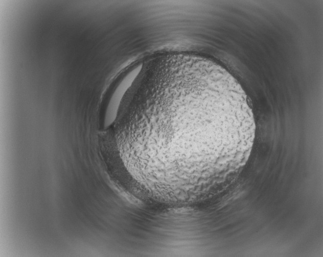 X0000067480446200604281924