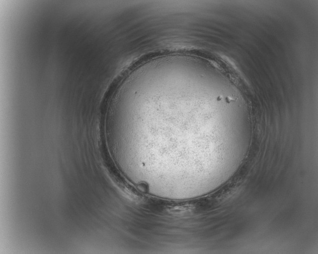 X0000067480447200604281924