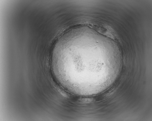 X0000067480449200604281924