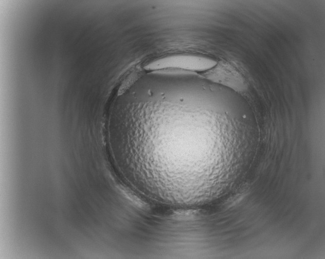 X0000067480450200604281924