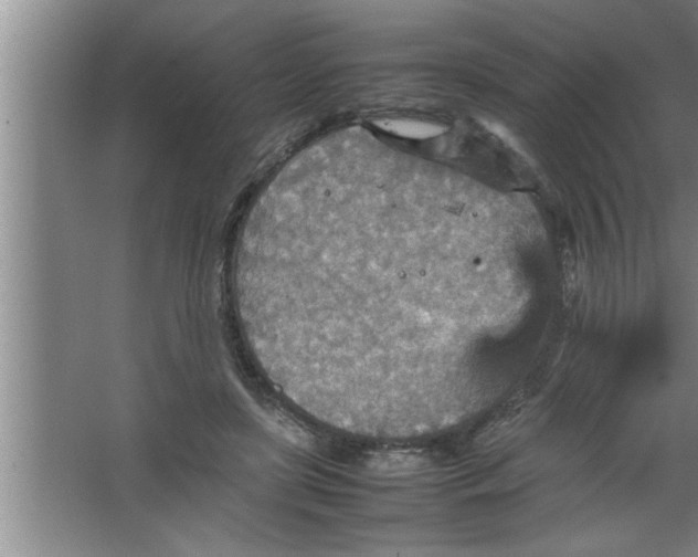 X0000067480451200604281924