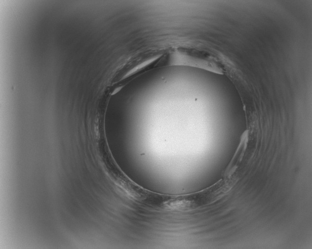 X0000067480452200604281924