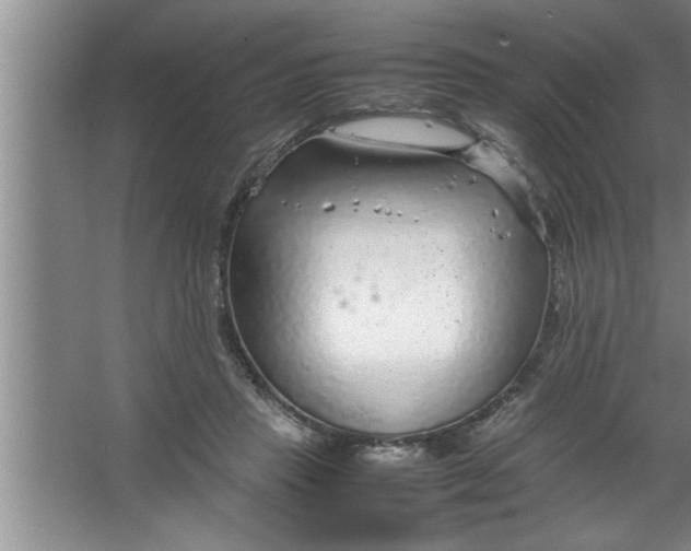 X0000067480453200604281924