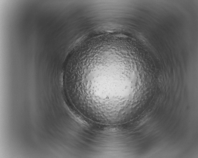 X0000067480454200604281924