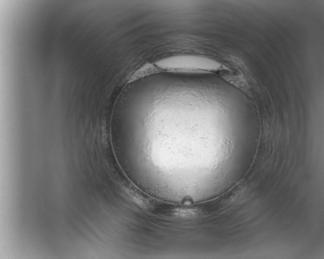 X0000067480457200604281924