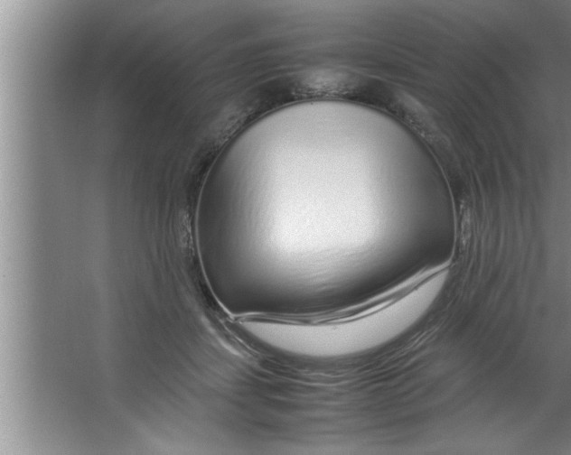 X0000067480459200604281924