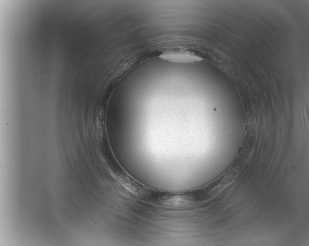 X0000067480460200604281924