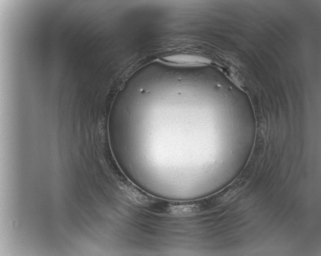 X0000067480461200604281924