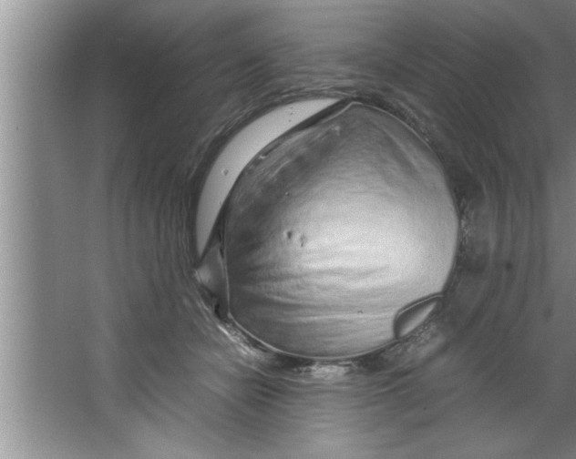 X0000067480462200604281924