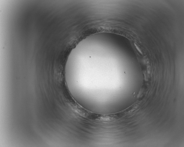 X0000067480464200604281924