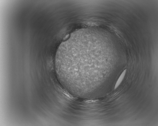 X0000067480465200604281924