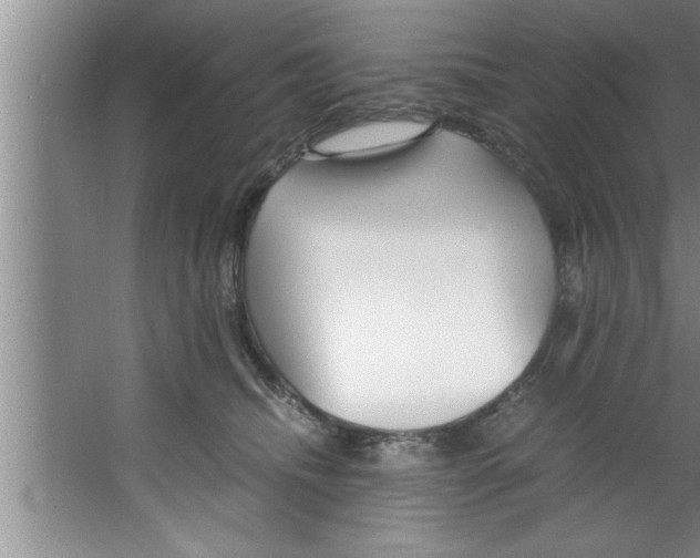 X0000067480468200604281925