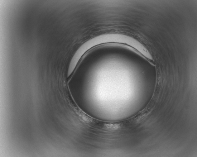 X0000067480469200604281925