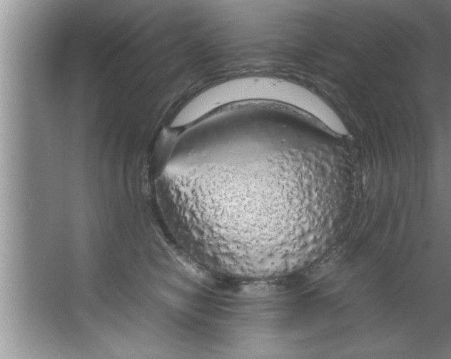 X0000067480470200604281925