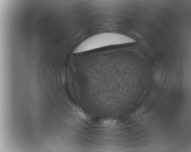 X0000067480471200604281925