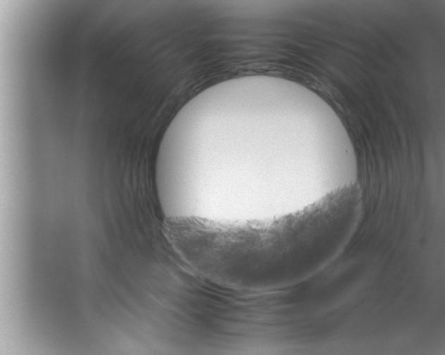 X0000067480473200604281925