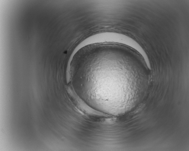 X0000067480474200604281925