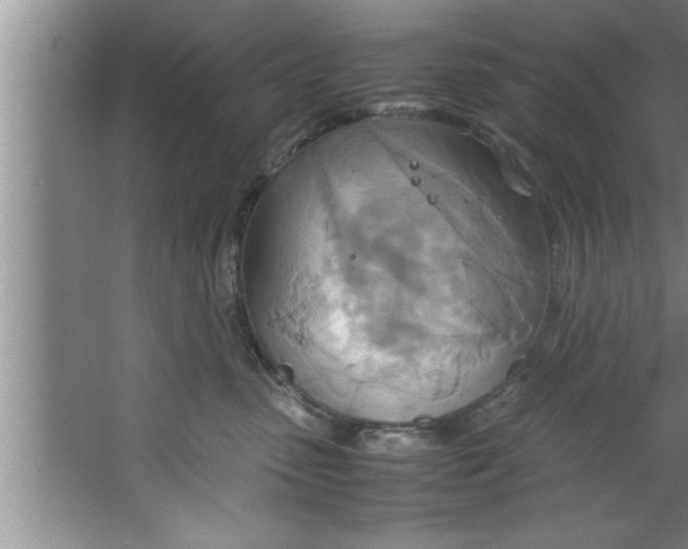 X0000067480475200604281925