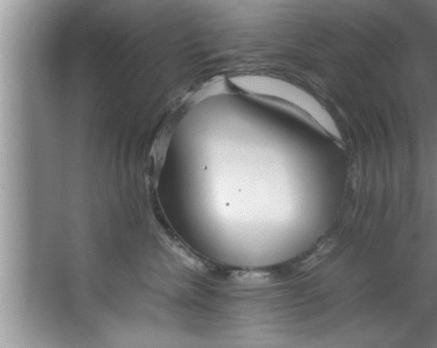 X0000067480476200604281925