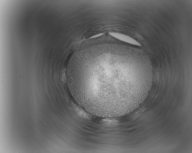 X0000067480477200604281925