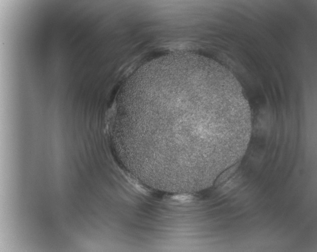 X0000067480478200604281925