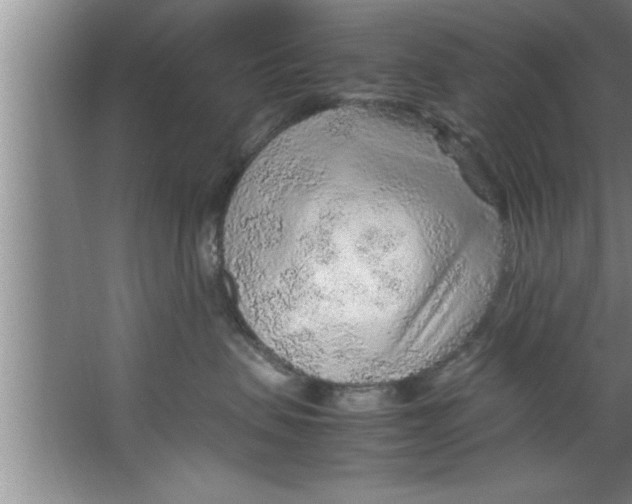 X0000067480479200604281925