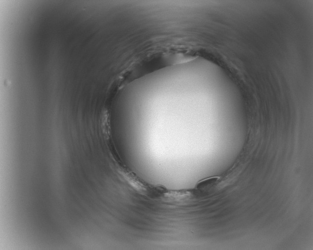 X0000067480480200604281925