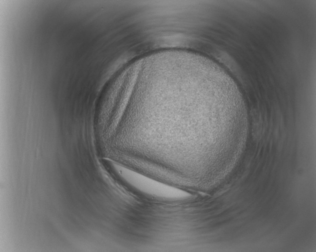 X0000067480482200604281924