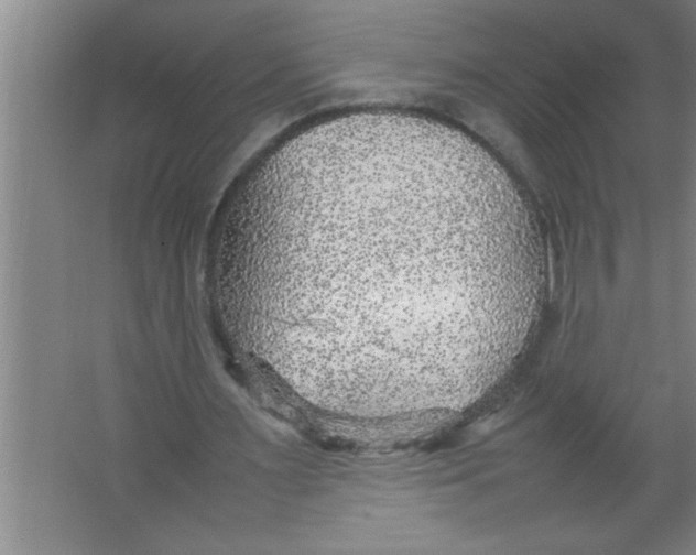 X0000067480483200604281924