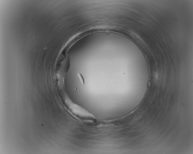 X0000067480484200604281924