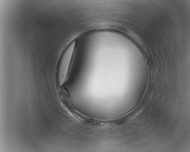 X0000067480485200604281924