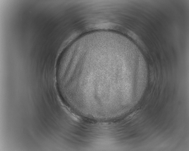 X0000067480486200604281924