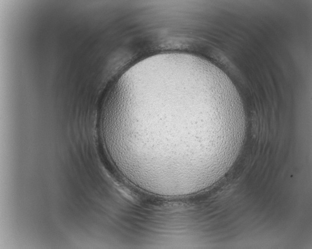 X0000067480490200604281924