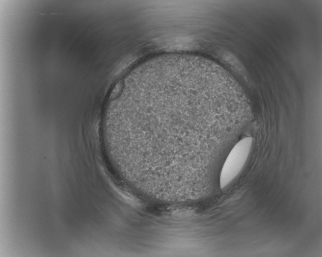 X0000067480491200604281924