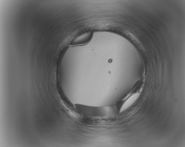 X0000067480493200604281924