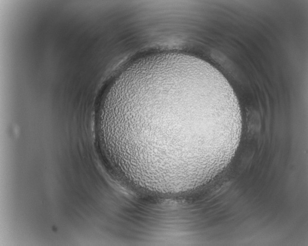 X0000067480494200604281924