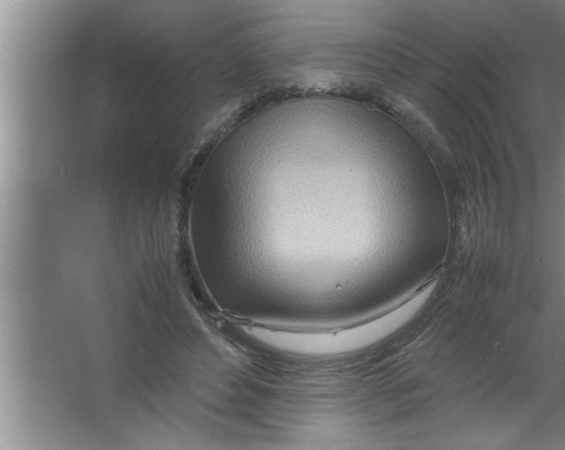 X0000067480496200604281924