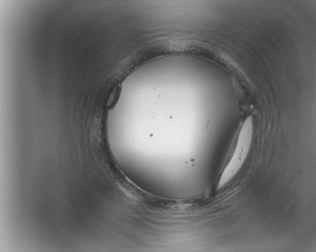 X0000067480497200604281924