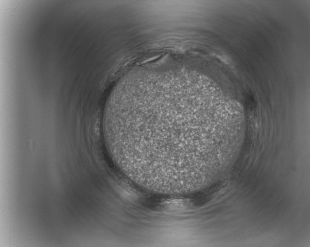 X0000067480499200604281924