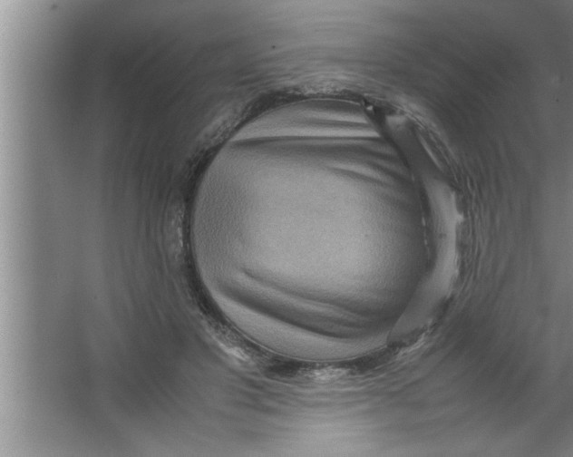 X0000067480501200604281924