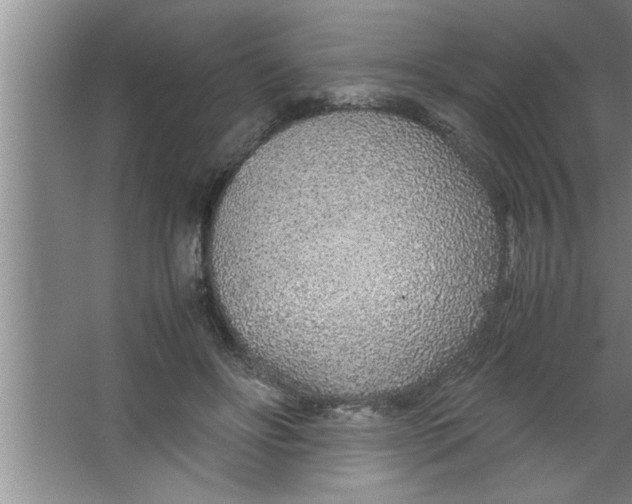 X0000067480502200604281924