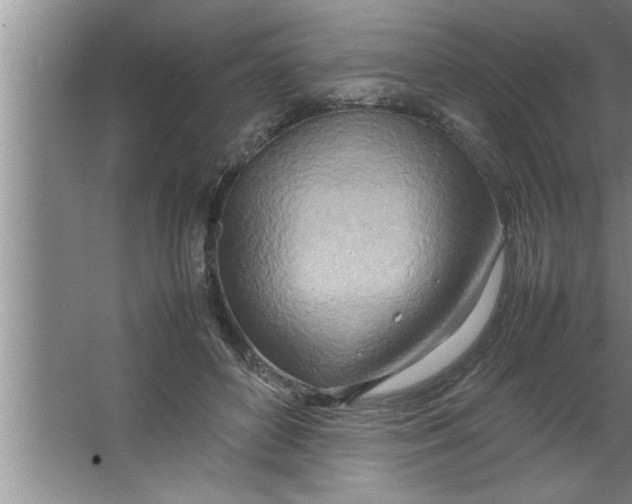 X0000067480504200604281924