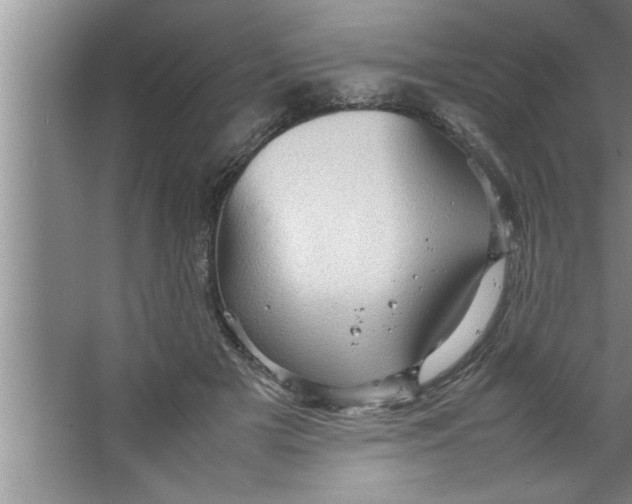 X0000067480505200604281924