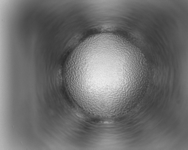 X0000067480506200604281924