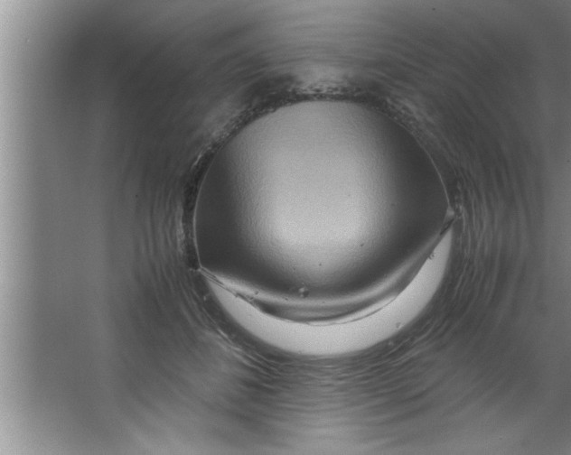 X0000067480508200604281923